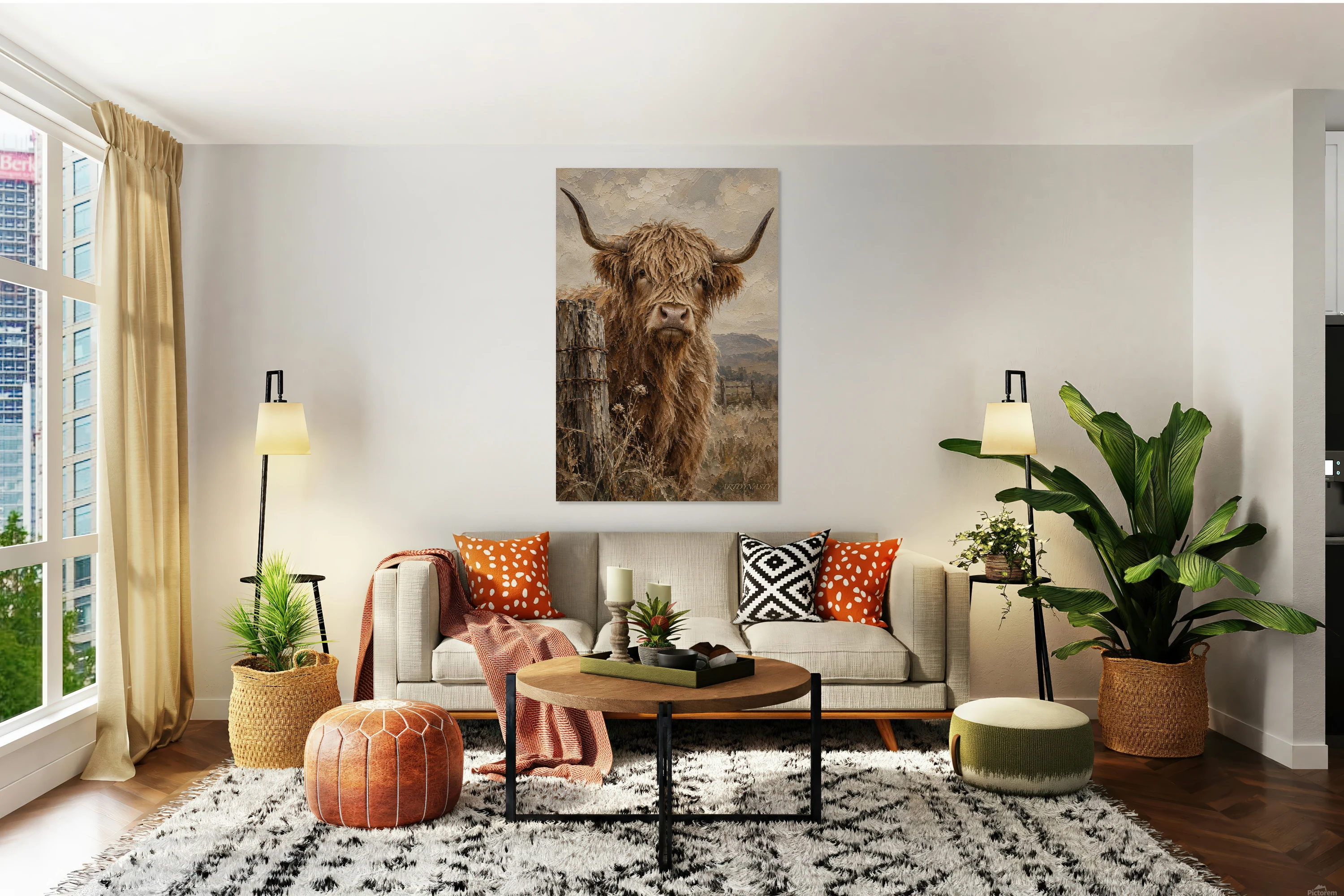 Shaggy the cow