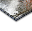 19 An Early Winter Day  Acrylic print