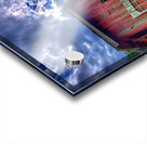 07 Summer Day Gutt Farm Acrylic print