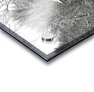 G14 Winter Serenity Acrylic print