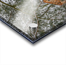 G12 Cabin in the Woods Acrylic print