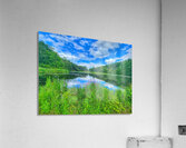 08Aug Eastbury Pond Acrylic Print