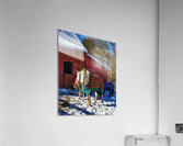 Horses in Winter Acrylic Print