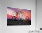 18 Morning Sunrise on the Farm Acrylic Print