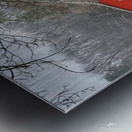 Rainy Day Metal print