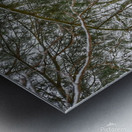 G12 Cabin in the Woods Metal print