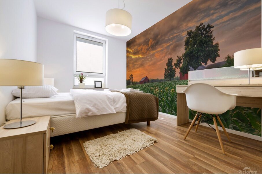 06Jun HortonFarm Mural print