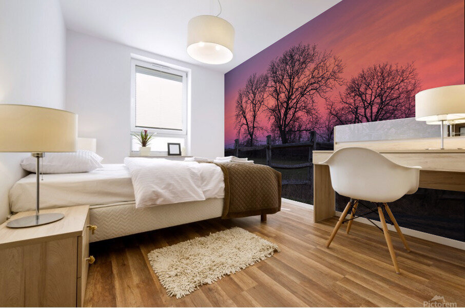 18 Morning Sunrise on the Farm Mural print