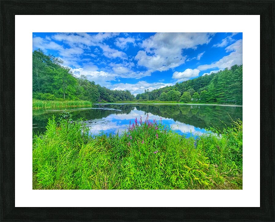 08Aug Eastbury Pond Picture Frame print