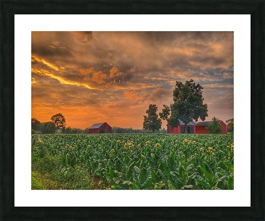 06Jun HortonFarm Picture Frame print