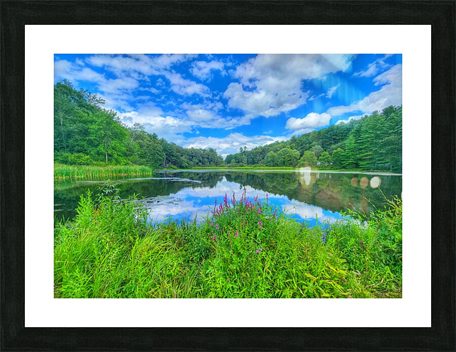 07 Spring Card Picture Frame print