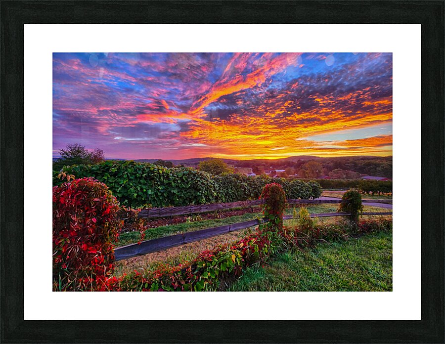 05 Spring Card Picture Frame print