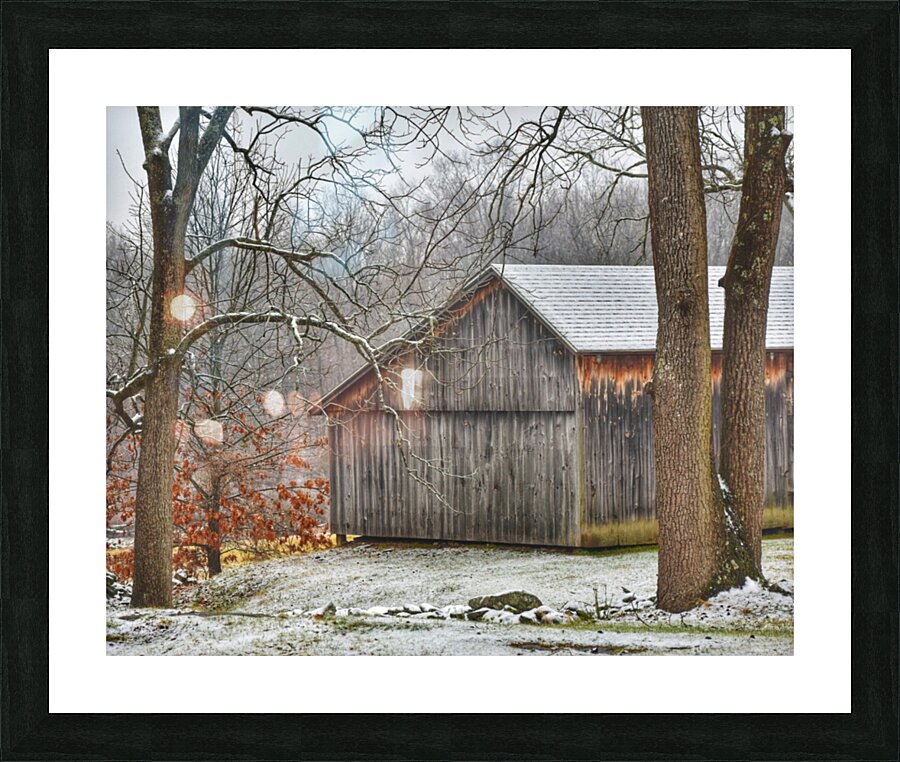19 An Early Winter Day  Picture Frame print