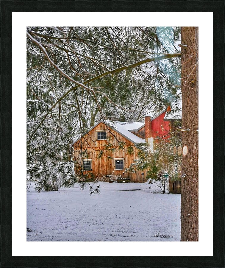 G12 Cabin in the Woods Picture Frame print