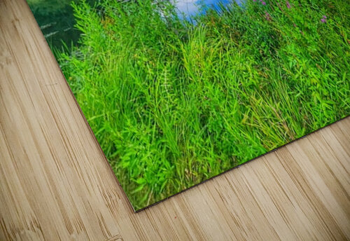 08Aug Eastbury Pond Kevin Savage puzzle