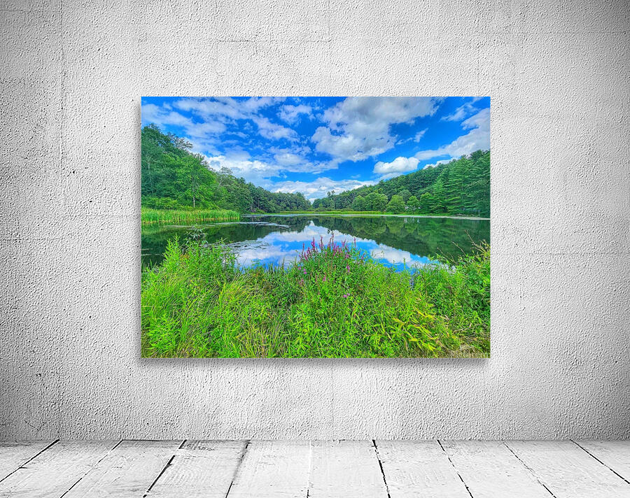 08Aug Eastbury Pond Wall Preview