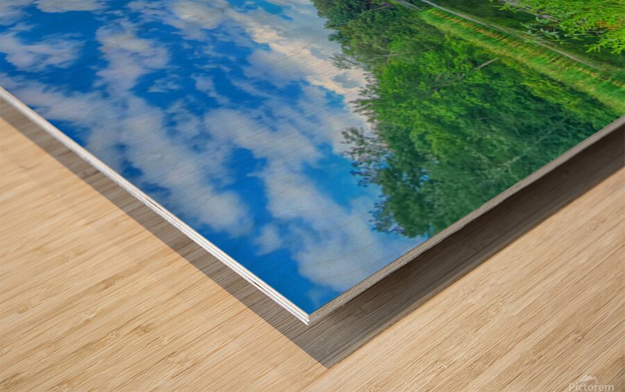 07 Spring Card Wood print