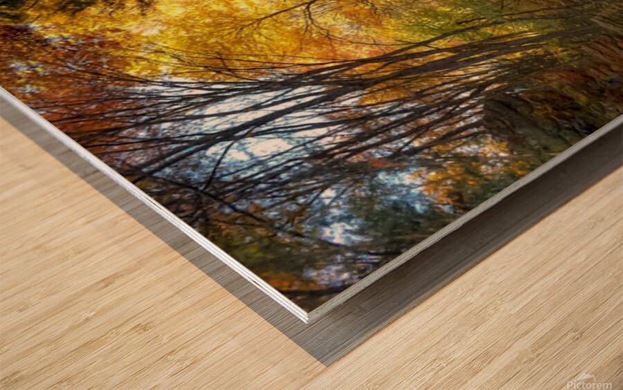 02 Autumn Card Wood print