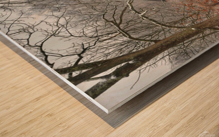 Portland Barn Wood print