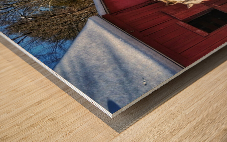 Horses in Winter Wood print