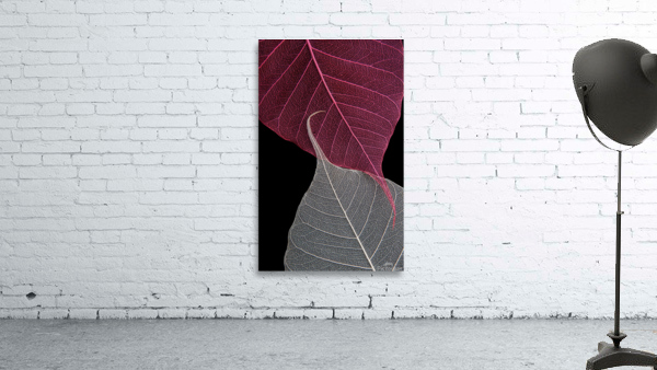 Yin-Yang Wall Preview