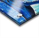 Humphrey Acrylic print