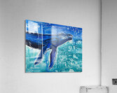 Humphrey Acrylic Print