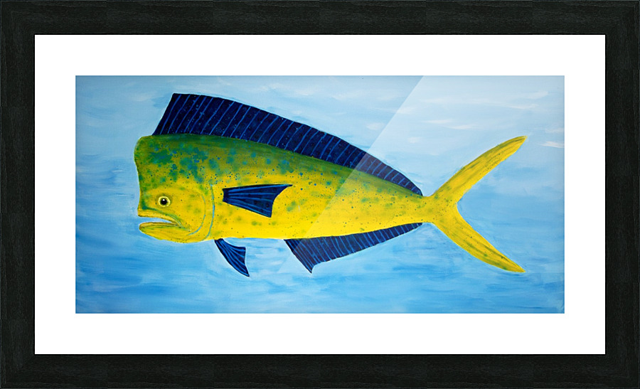 Mahi-Mahi II Picture Frame print