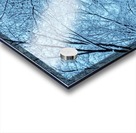 Frost Acrylic print