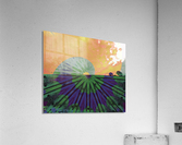 Dyetie Acrylic Print