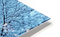 Frost HD Metal print