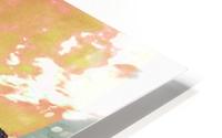 Dyetie HD Metal print