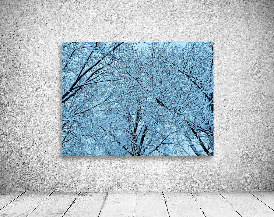 Frost Wall Preview