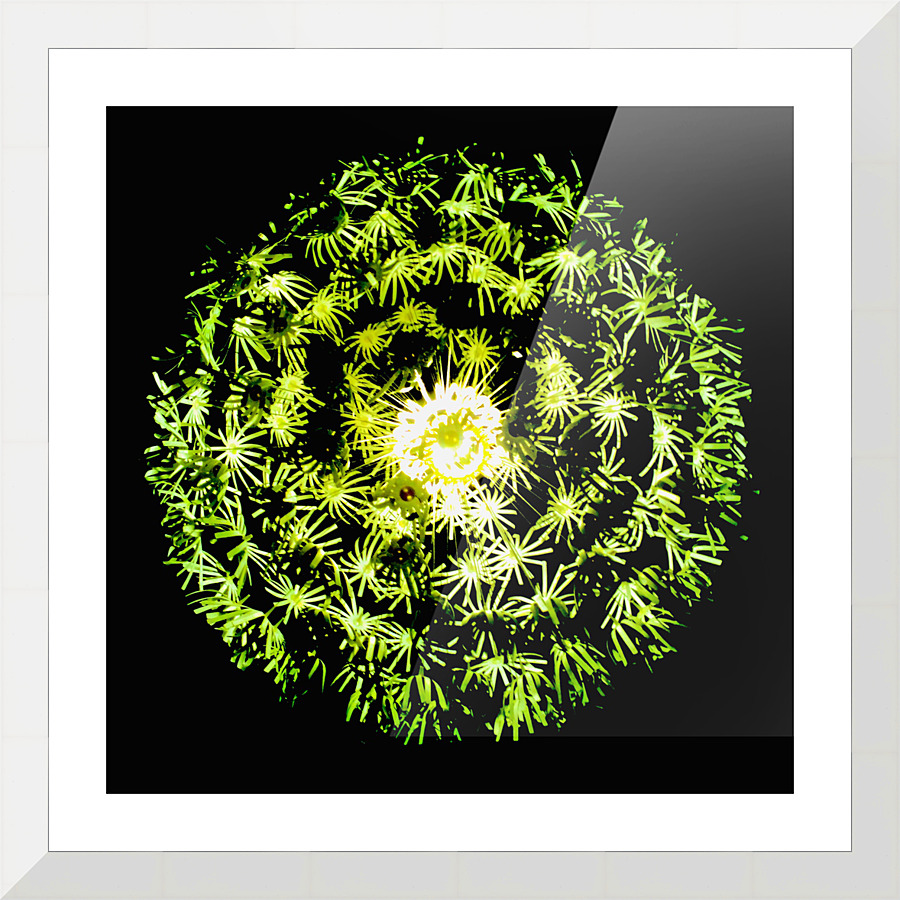 yggdrasill Picture Frame print