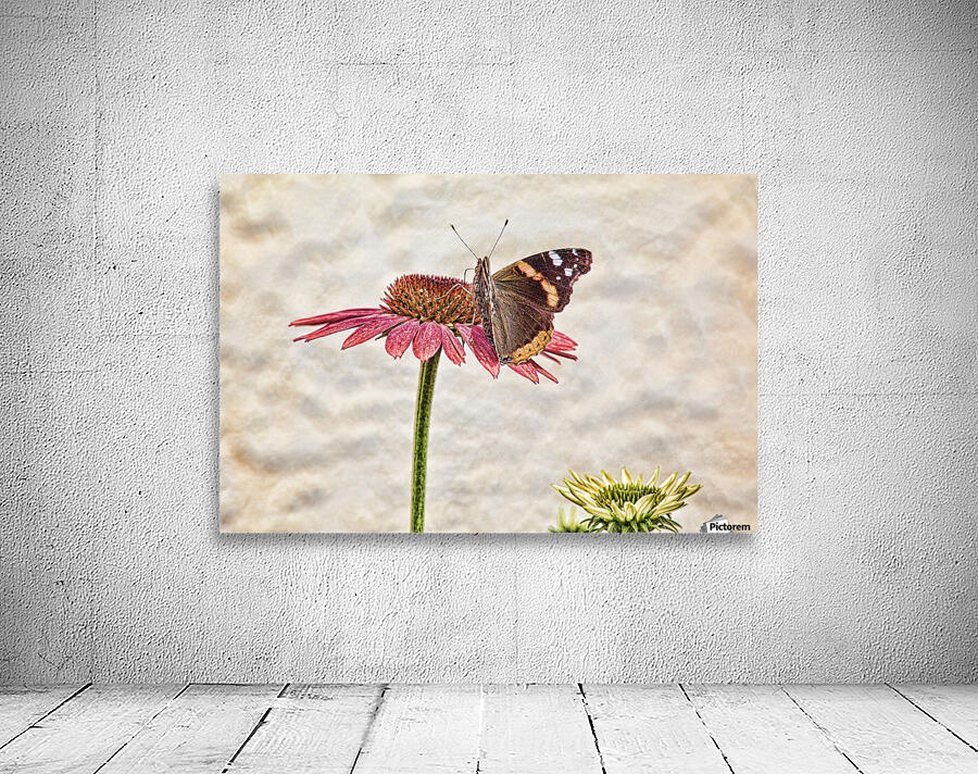 Butterfly Dreams Wall Preview