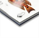 Japanese Threadfin Bream and Redstriped Eartheater Acrylic print