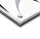 Great Pompano Palometa Acrylic print