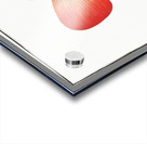 Mottled Grouper Acrylic print