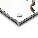 School Shark Acrylic print