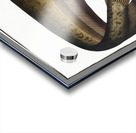 Wels Catfish Sheatfish Acrylic print