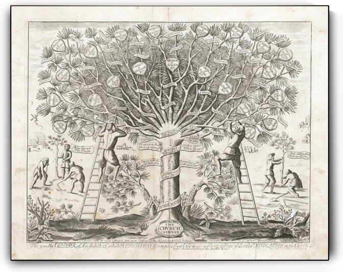 1675 Early Allegorical Print of the Church – London Lithograph Attributed to Wenceslaus Hollar Depicting Episcopal Church as Cedar Tree Branches of Presbytery and Independency and Religious Reform Allegory by History In Your Home