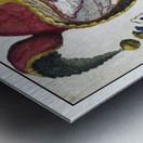 16th Century Fool’s Cap Map of the World – Renaissance Allegorical World Map Depicting the Globe as a Jester’s Head Symbolizing the Vanity of Human Knowledge and the Philosophical Spirit of the Age of Discovery Metal print