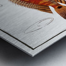 Japanese Threadfin Bream and Redstriped Eartheater Metal print