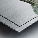 Ide Orfe Metal print