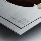 Redtail Butterflyfish and Vermiculated Angelfish Metal print