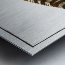 Zebra Sole Metal print