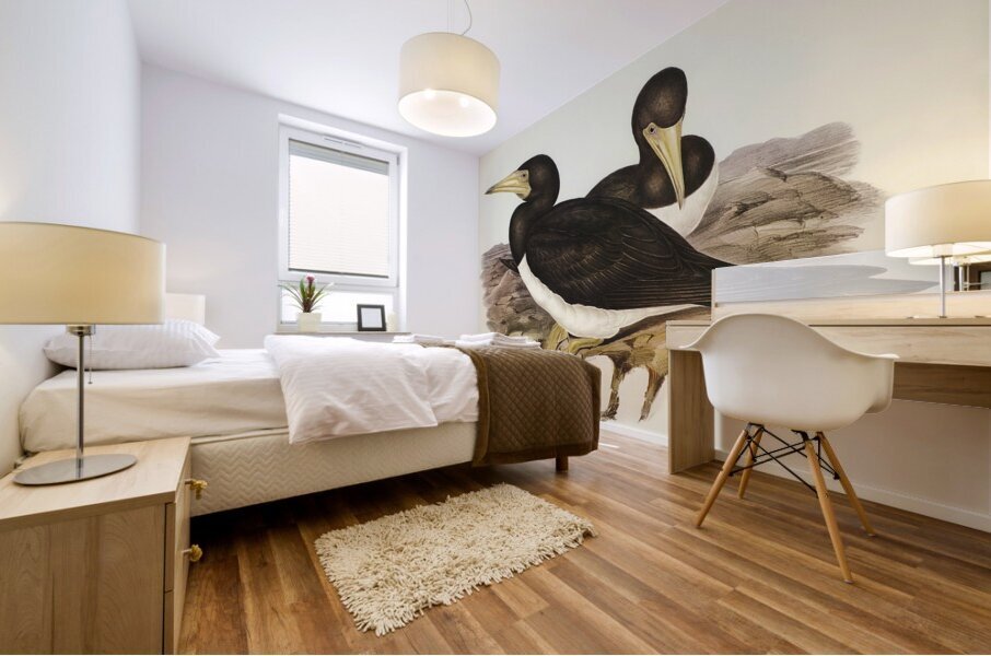 Brown Booby Mural print