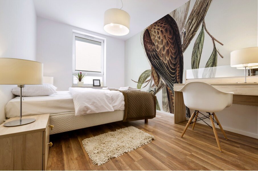 Brown Falcon Mural print
