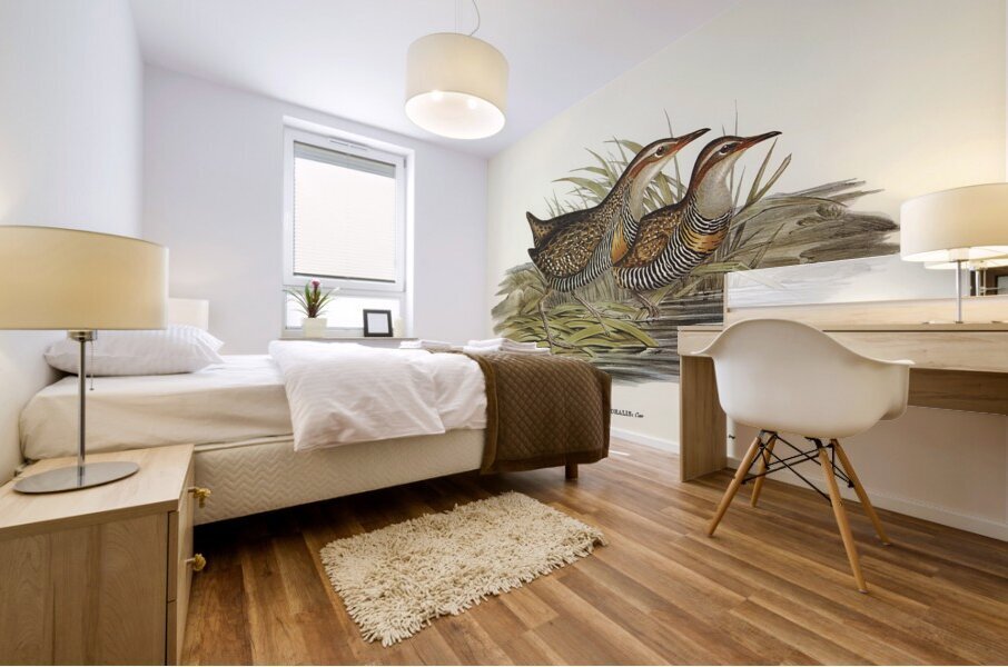Buff Banded Rail Mural print