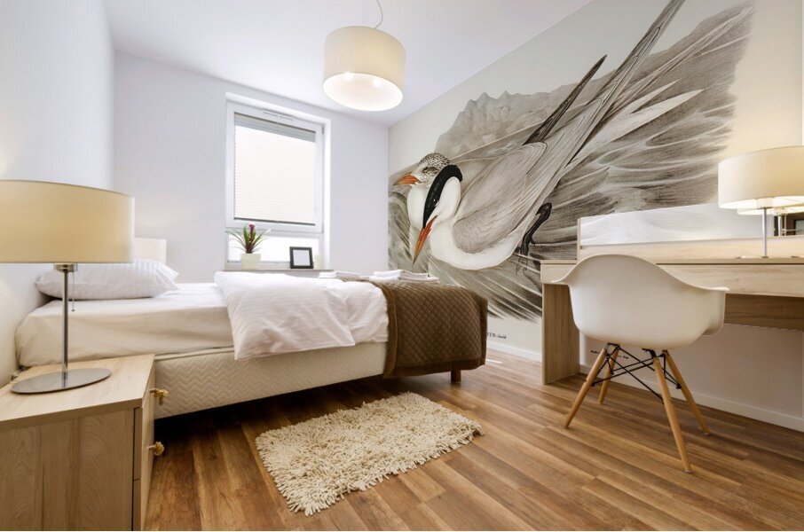 Caspian Tern Mural print